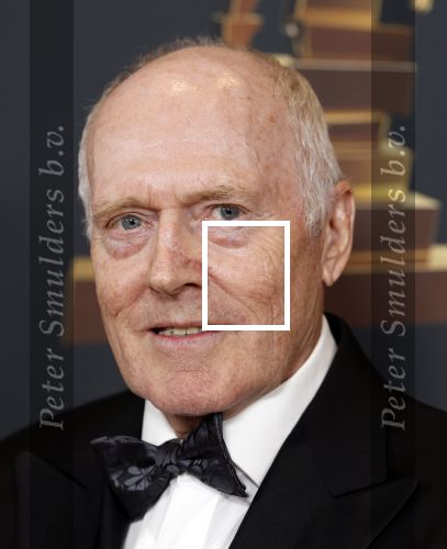 Rotterdam 28 april 2022
Musicalawards gala in Ahoy Rotterdam.
Peter Tuinman