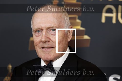 Rotterdam 28 april 2022
Musicalawards gala in Ahoy Rotterdam.
Peter Tuinman