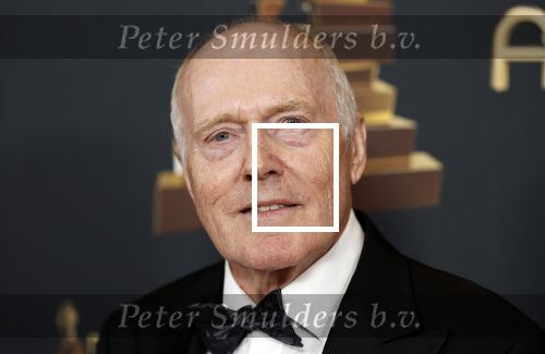 Rotterdam 28 april 2022
Musicalawards gala in Ahoy Rotterdam.
Peter Tuinman