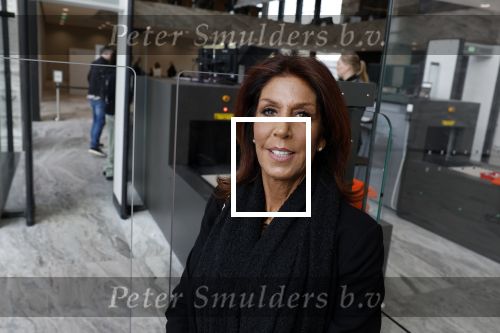 Amsterdam 15 april 2022
Rechtszaak tussen Rachel Hazes en haar ex werknemer Marieke v d Beek  in de rechtbank van Amsterdam.
Royce de Vries is de advocaat van rachel