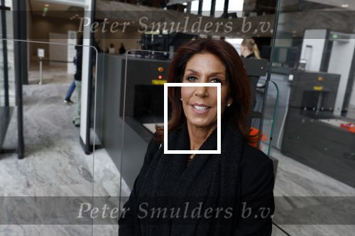 Amsterdam 15 april 2022
Rechtszaak tussen Rachel Hazes en haar ex werknemer Marieke v d Beek  in de rechtbank van Amsterdam.
Royce de Vries is de advocaat van rachel