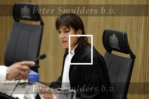 Amsterdam 15 april 2022
Rechtszaak tussen Rachel Hazes en haar ex werknemer Marieke v d Beek  in de rechtbank van Amsterdam.
Royce de Vries is de advocaat van rachel De rechter