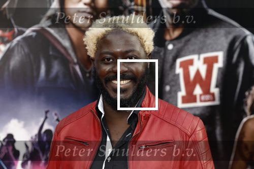 Amsterdam 16 mei 2023
Premiere Fast X in Pathe Arena .
Andre Dongelmans