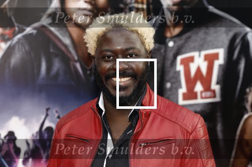 Amsterdam 16 mei 2023
Premiere Fast X in Pathe Arena .
Andre Dongelmans