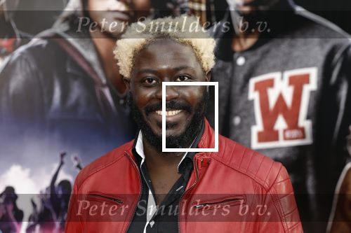Amsterdam 16 mei 2023
Premiere Fast X in Pathe Arena .
Andre Dongelmans