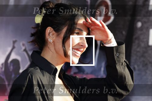 Amsterdam 16 mei 2023
Premiere Fast X in Pathe Arena .
Anna Nooshin