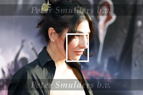 Amsterdam 16 mei 2023
Premiere Fast X in Pathe Arena .
Anna Nooshin