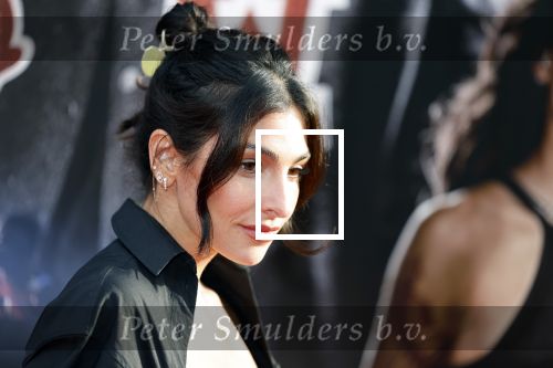 Amsterdam 16 mei 2023
Premiere Fast X in Pathe Arena .
Anna Nooshin