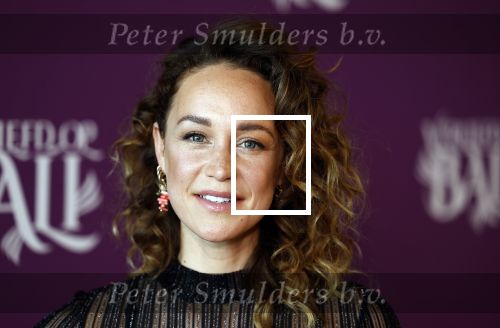 Amsterdam 26 april 2023
Presentatie cast verliefd op Bali in hotel Jakarta. 
Anouk Maas
