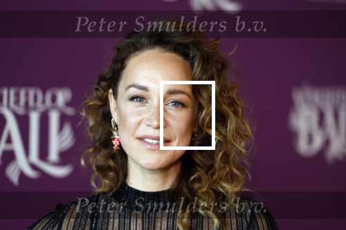 Amsterdam 26 april 2023
Presentatie cast verliefd op Bali in hotel Jakarta. 
Anouk Maas