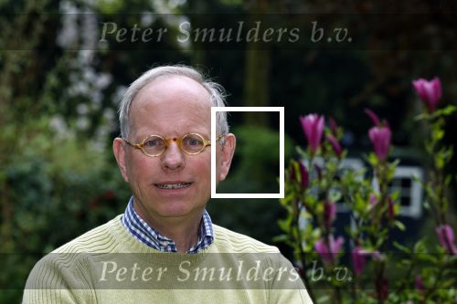 Rotterdam 22 april 2023
Arnold Vredenbregt gefotografeerd in zijn tuin.