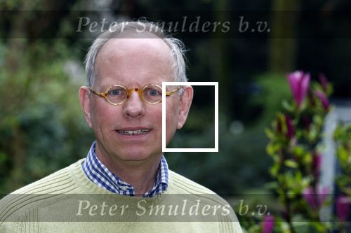Rotterdam 22 april 2023
Arnold Vredenbregt gefotografeerd in zijn tuin.