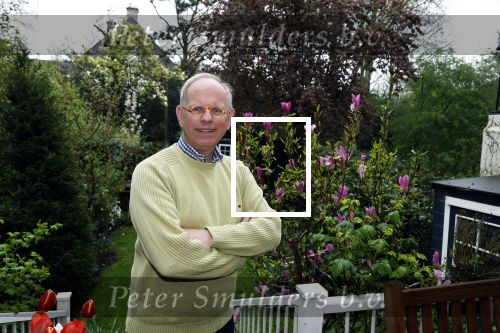 Rotterdam 22 april 2023
Arnold Vredenbregt gefotografeerd in zijn tuin.