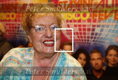 Schiedam 5 mei 2023
Premiere Staying alive disco feaver in schouwburg Schiedam.
Astrid Nijgh