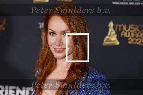 Scheveningen 15 mei 2023
Musicalawards in het AFAS Circustheater.
Bertrie Wierenga