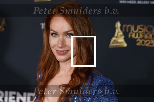 Scheveningen 15 mei 2023
Musicalawards in het AFAS Circustheater.
Bertrie Wierenga