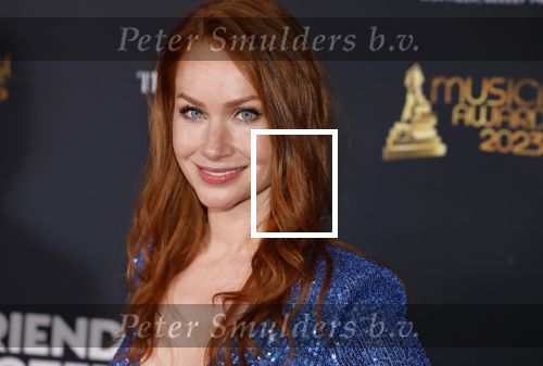 Scheveningen 15 mei 2023
Musicalawards in het AFAS Circustheater.
Bertrie Wierenga