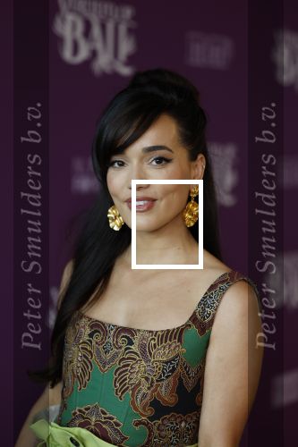 Amsterdam 26 april 2023
Presentatie cast verliefd op Bali in hotel Jakarta. 
Bibi Breijman