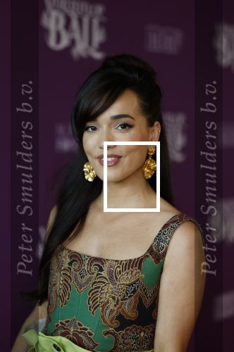 Amsterdam 26 april 2023
Presentatie cast verliefd op Bali in hotel Jakarta. 
Bibi Breijman
