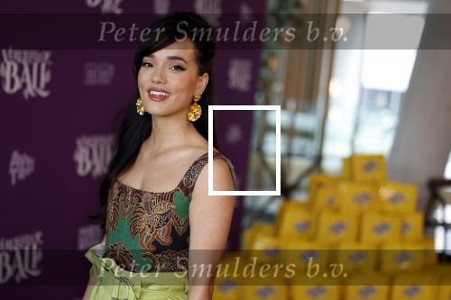 Amsterdam 26 april 2023
Presentatie cast verliefd op Bali in hotel Jakarta. 
Bibi Breijman