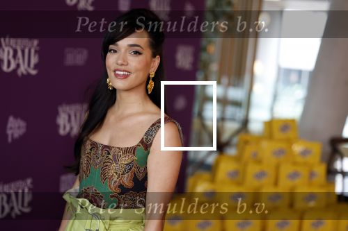 Amsterdam 26 april 2023
Presentatie cast verliefd op Bali in hotel Jakarta. 
Bibi Breijman