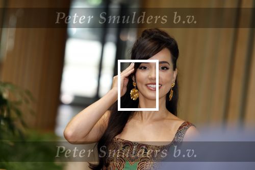 Amsterdam 26 april 2023
Presentatie cast verliefd op Bali in hotel Jakarta. 
Bibi Breijman