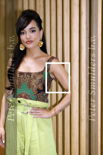 Amsterdam 26 april 2023
Presentatie cast verliefd op Bali in hotel Jakarta. 
Bibi Breijman