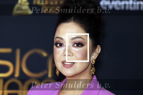 Scheveningen 15 mei 2023
Musicalawards in het AFAS Circustheater.
Cystine Carreon kwaam met haar dochtere