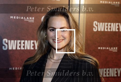 Amsterdam 21 april 2023
Premiere Sweeney Todd in het DeLaMar theater geproduceerd door Medialane.
Desi v Doeveren