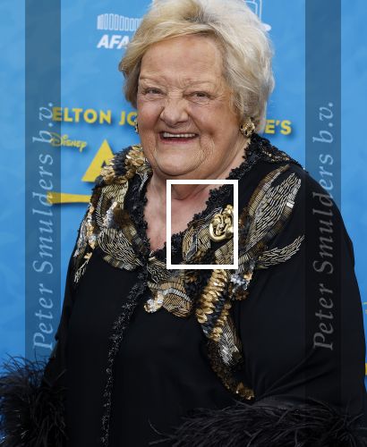 Scheveningen 23 april 2023
Premiere AIDA in het circustheater in Scheveningen .
Erica Terpstra