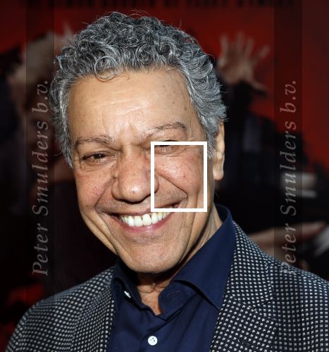 Amsterdam 21 april 2023
Premiere Sweeney Todd in het DeLaMar theater geproduceerd door Medialane.
Frank Sanders
