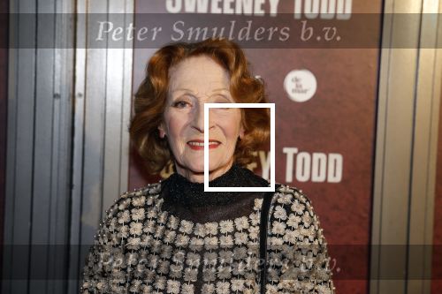 Amsterdam 21 april 2023
Premiere Sweeney Todd in het DeLaMar theater geproduceerd door Medialane.
Gerrie v d Klei