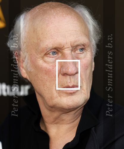 Amsterdam 22 mei 2023
Uitreiking Buma awards in Tuschinski Amsterdam.
Herman v Veen ontving uit handen van zijn dochters Babette v Veen en Anne v Veen de  lifetime Achievement award voor zijn hele carriere
