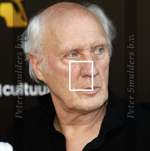 Amsterdam 22 mei 2023
Uitreiking Buma awards in Tuschinski Amsterdam.
Herman v Veen ontving uit handen van zijn dochters Babette v Veen en Anne v Veen de  lifetime Achievement award voor zijn hele carriere