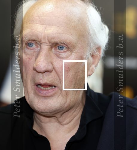 Amsterdam 22 mei 2023
Uitreiking Buma awards in Tuschinski Amsterdam.
Herman v Veen ontving uit handen van zijn dochters Babette v Veen en Anne v Veen de  lifetime Achievement award voor zijn hele carriere