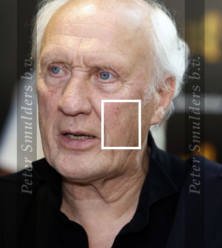 Amsterdam 22 mei 2023
Uitreiking Buma awards in Tuschinski Amsterdam.
Herman v Veen ontving uit handen van zijn dochters Babette v Veen en Anne v Veen de  lifetime Achievement award voor zijn hele carriere