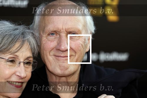 Amsterdam 22 mei 2023
Uitreiking Buma awards in Tuschinski Amsterdam.
Herman v Veen met zijn vrouw