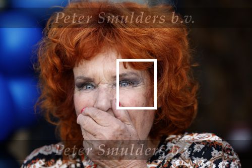 Noorden  30 april 2023
Gerard Joling viert zijn 63e verjaardag.
Imca Marina
