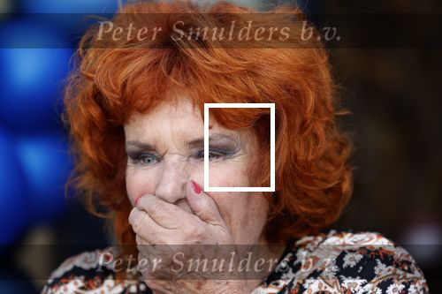 Noorden  30 april 2023
Gerard Joling viert zijn 63e verjaardag.
Imca Marina