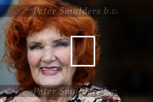 Noorden  30 april 2023
Gerard Joling viert zijn 63e verjaardag.
Imca Marina