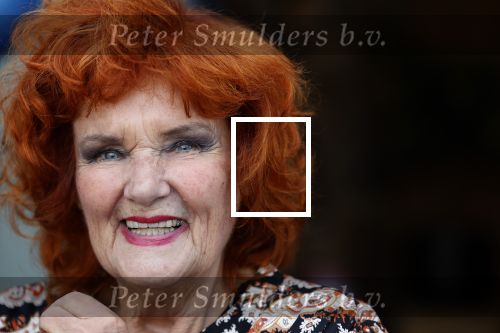 Noorden  30 april 2023
Gerard Joling viert zijn 63e verjaardag.
Imca Marina