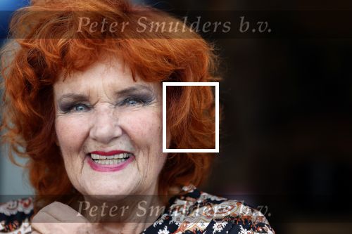 Noorden  30 april 2023
Gerard Joling viert zijn 63e verjaardag.
Imca Marina