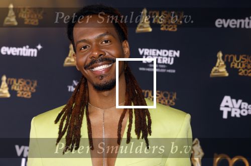 Scheveningen 15 mei 2023
Musicalawards in het AFAS Circustheater.
Jeangu Macrooy