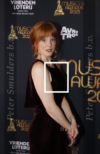 Scheveningen 15 mei 2023
Musicalawards in het AFAS Circustheater.
Jolijn Henneman