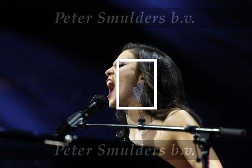 Amsterdam 11 maart 2023
Holland zingt Hazes in het ziggo dome.
Jeroen v d Boom Samantha Steenwijk Waylon Karsu John de Bever Og3ne Gerard Joling en Jamai maken er een geweldige show van .
Gasten aanwezig oa Rachel Hazes Wesley Sneijder en Guido den Aantrekker met zijn vrouw Tiffany.