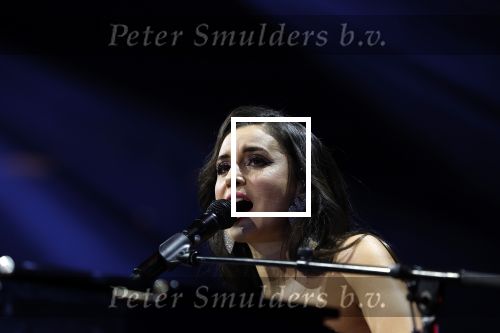 Amsterdam 11 maart 2023
Holland zingt Hazes in het ziggo dome.
Jeroen v d Boom Samantha Steenwijk Waylon Karsu John de Bever Og3ne Gerard Joling en Jamai maken er een geweldige show van .
Gasten aanwezig oa Rachel Hazes Wesley Sneijder en Guido den Aantrekker met zijn vrouw Tiffany.