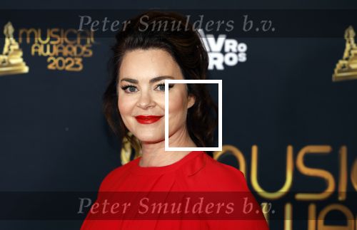 Scheveningen 15 mei 2023
Musicalawards in het AFAS Circustheater.
Kim Lian v d Meij