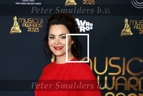Scheveningen 15 mei 2023
Musicalawards in het AFAS Circustheater.
Kim Lian v d Meij