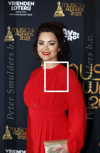 Scheveningen 15 mei 2023
Musicalawards in het AFAS Circustheater.
Kim Lian v d Meij