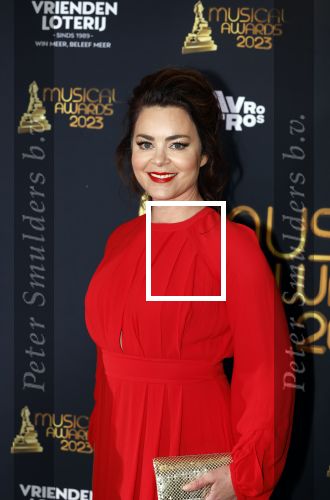 Scheveningen 15 mei 2023
Musicalawards in het AFAS Circustheater.
Kim Lian v d Meij